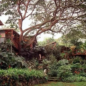 *** Guest house Dragonfly Ranch & Eco-spa United States